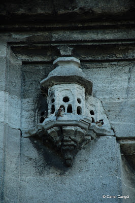 Üsküdar Ayazma Camii Avlu Kapısı Üzerindeki Kuş Evi