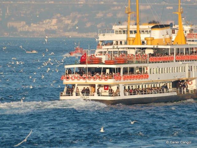 Vapura binip martıları simitlemeden olmaz. (Emin Kul)